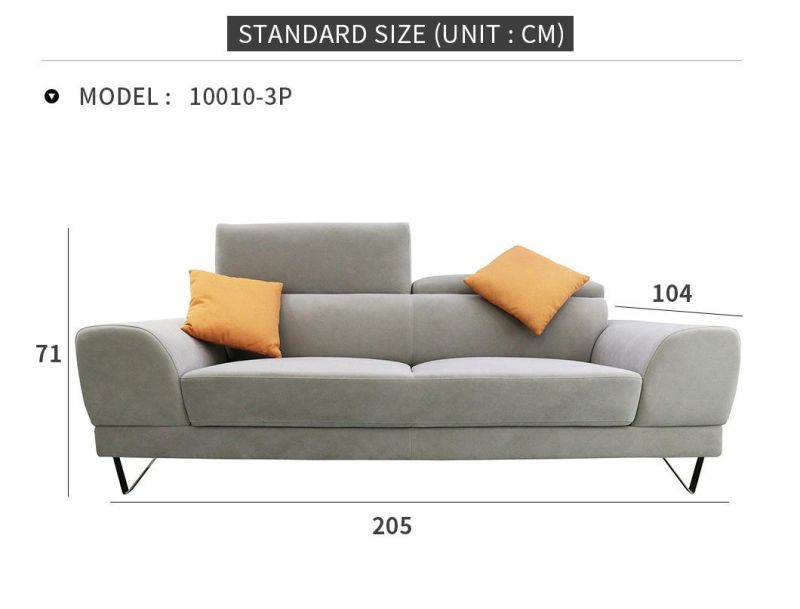 Living Room Two-Seater Sofa Furniture Modern Luxury Loveseat Fabric Sofa