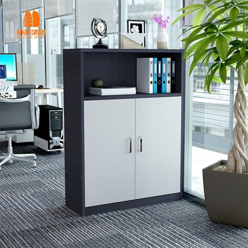2 Door Office Cabinet Custom Made Steel Cabinets with Two Drawers