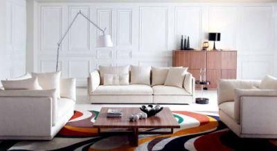 Original Italian Design Living Room Furniture (MS1101)
