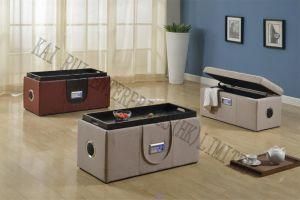 Music Storage Multifunctional Modern PVC Leather Ottoman