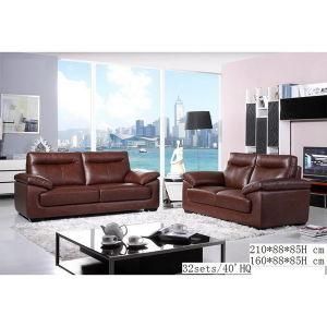 Leisure Sofa, Office Sofa, Modern Living Room Leather Sofa (WD-6795)