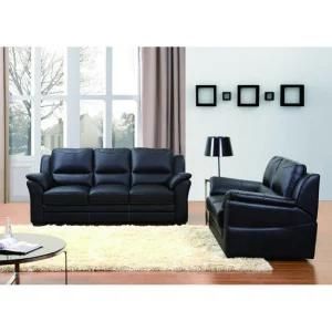Living Room Leisure Sofa, Leather Sofa (WD-9965)