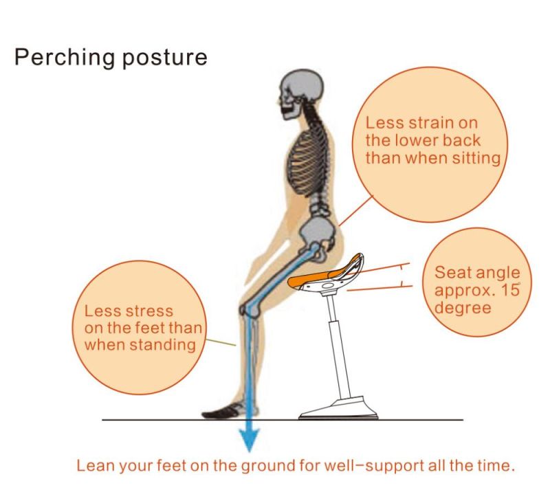 Standing Desk Active Sitting Stool for Back Pain Prevention