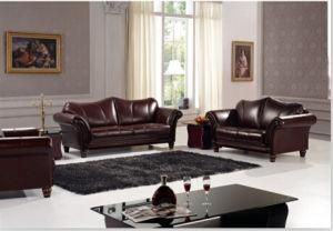 Furniture for Modern Sofa with Top Grain Leather