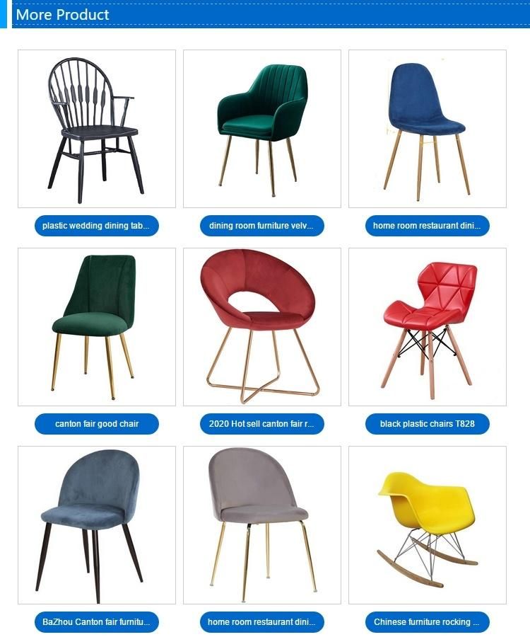 Modern Dining Chair Hot Selling Chair