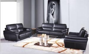 Furniture for Modern Sofa with Top Grain Leather