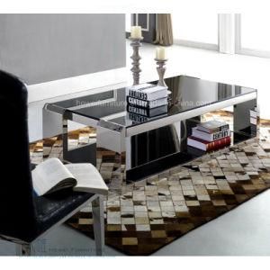 Modern Two Shelves Tempered Glass Metal Coffee Table (HW-0030-1T)