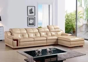 Real Leather Modern Furniture Living Room Sofa (A15)