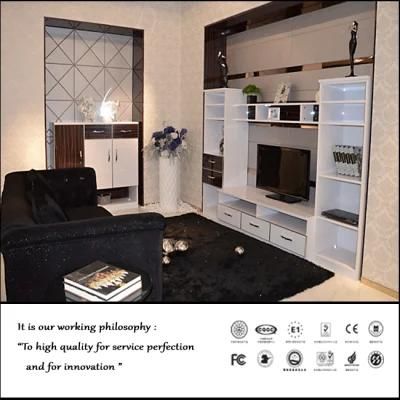Modern Design TV Cabinet for Livingroom (FY024)