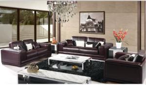 Living Room Sofa with Modern Genuine Leather Sofa Set