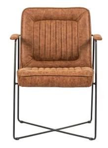 Modern Living Room Leisure Chair for Home with Coated Metal Frame and Fabric Upholstered