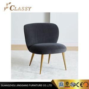 Living Room Sofa Leisure Chair Metal Furniture
