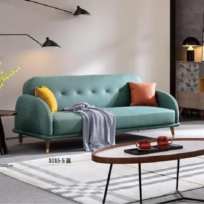 Double Seat Sofa Cum Bed New Design Living Room Sofabed