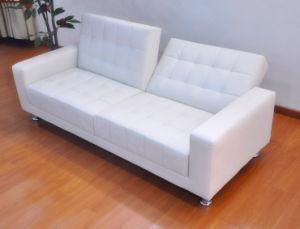 Hot Selling Modern Functional Sofa Bed (WD-907)