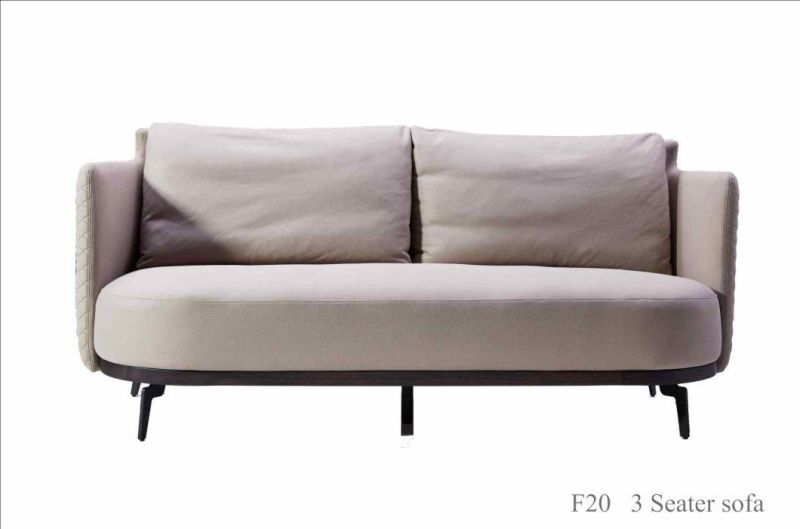 F20   3 Seater Sofa/Fabric /Ash Wood /Ykk Zipper/Natural Steel Coating Base/Modern Furniture in Home and Hotel