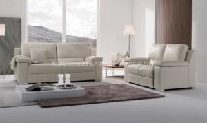 Modern Sectional Sofa (S647)