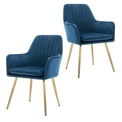 Leisure Chair Accent Chair Armrest Backrest Set of 2 with Gold Legs