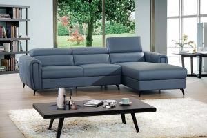 Leisure Italy Leather Sofa Furniture (B-10)