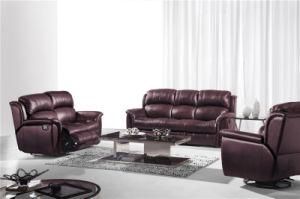 Leisure Italy Leather Sofa Furniture (536A)