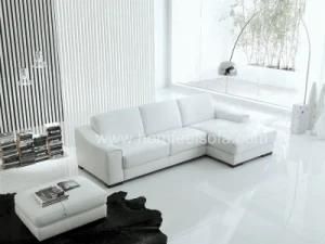 Modern Indoor Furniture Sectional Sofa (S117)