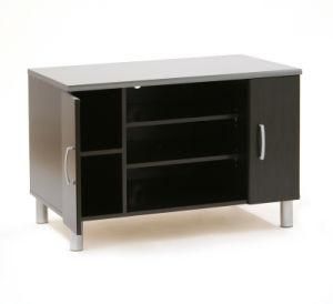 Ew Style TV Stand/Wood TV Stand (XJ-4015)