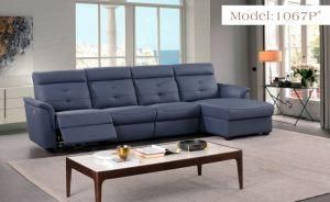 Italy Leather Furniture Modern Sofa (1067P)