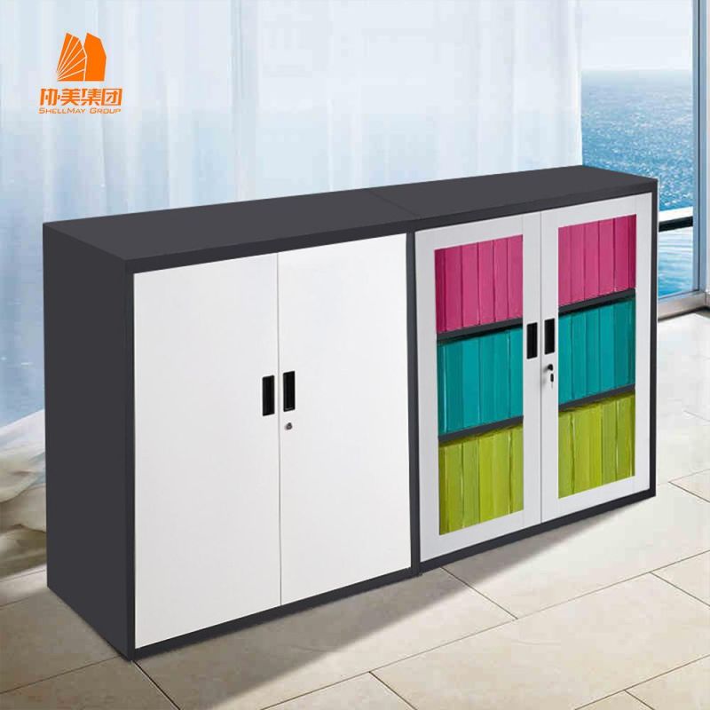 2 Door Glass Swing Door Storage Filing Cabinet.