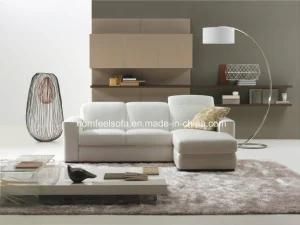 New Sofa Design Modern Sofa (S633)
