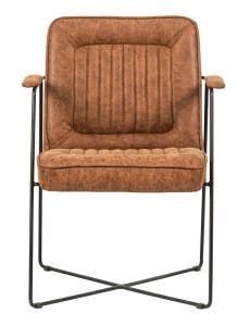 Modern Leisure Banquet Chair for Living Room with Coated Metal Frame and Fabric Upholstered