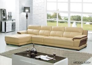 Luxury Modern Leather Sofa for Living Room (A30)
