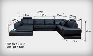 Sectional Sofa/Leather Sofa Furniture Al221