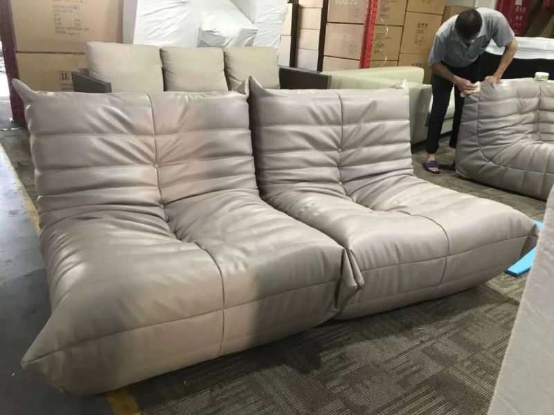 Popular 2-Seater Soft Caterpillars Fabric Leather Sofabed Couch with Ottoman