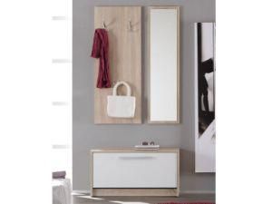 New Style Shoe Cabinet/ Wood Shoe Cabinet (XJ-6027)