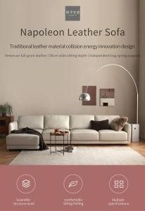 Special Design High Quality Living Room Furniture Napoleon Leather Sofa