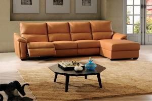 Italy Leather Sofa Furniture (B-09)