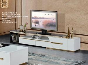 MDF Stainless Steel Living Room TV Stand Hall Cabinet Extend Tempered Glass Modern Home Furniture