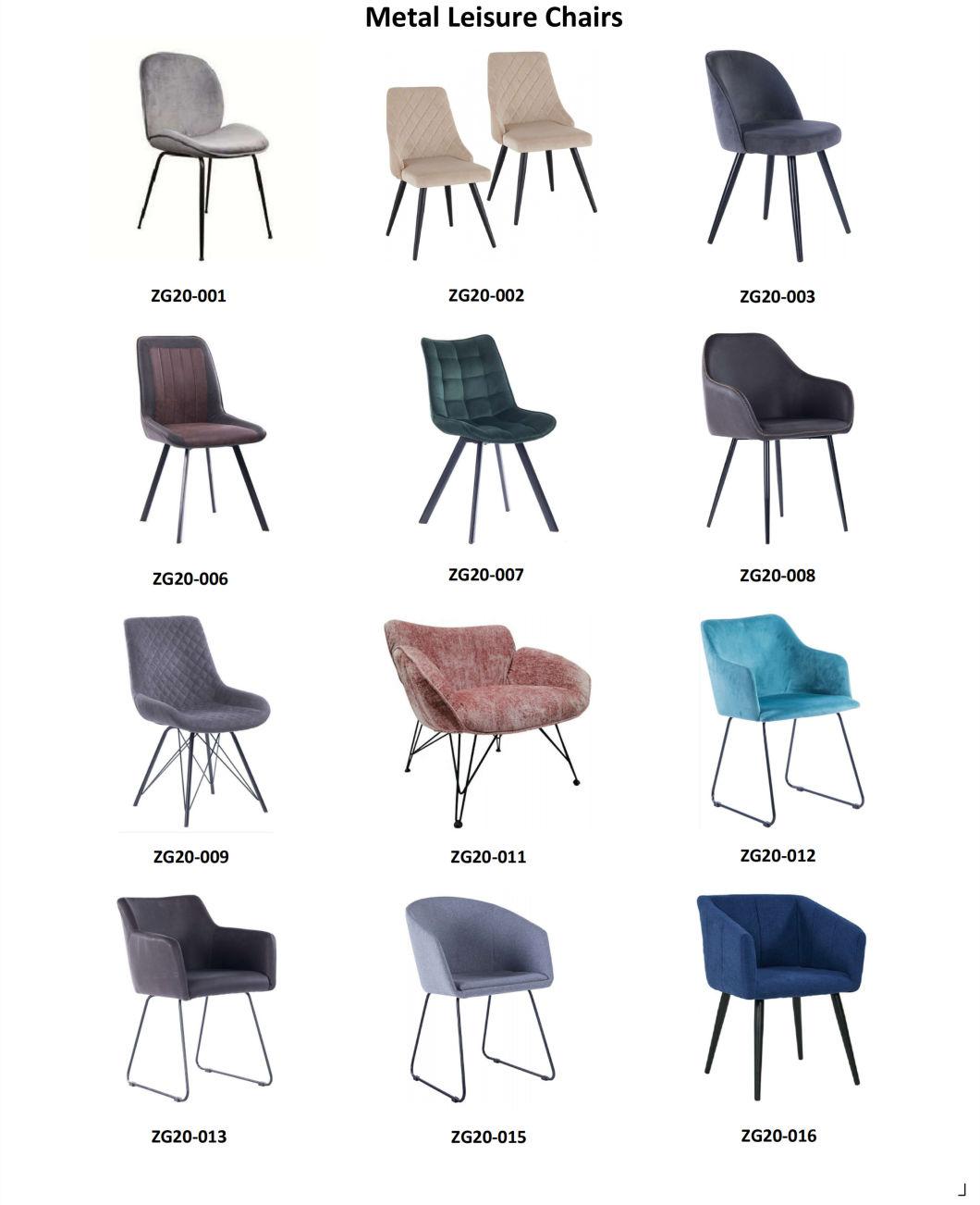 Hot Selling Metal Leisure Living Room Lounge Chair (ZG20-007)