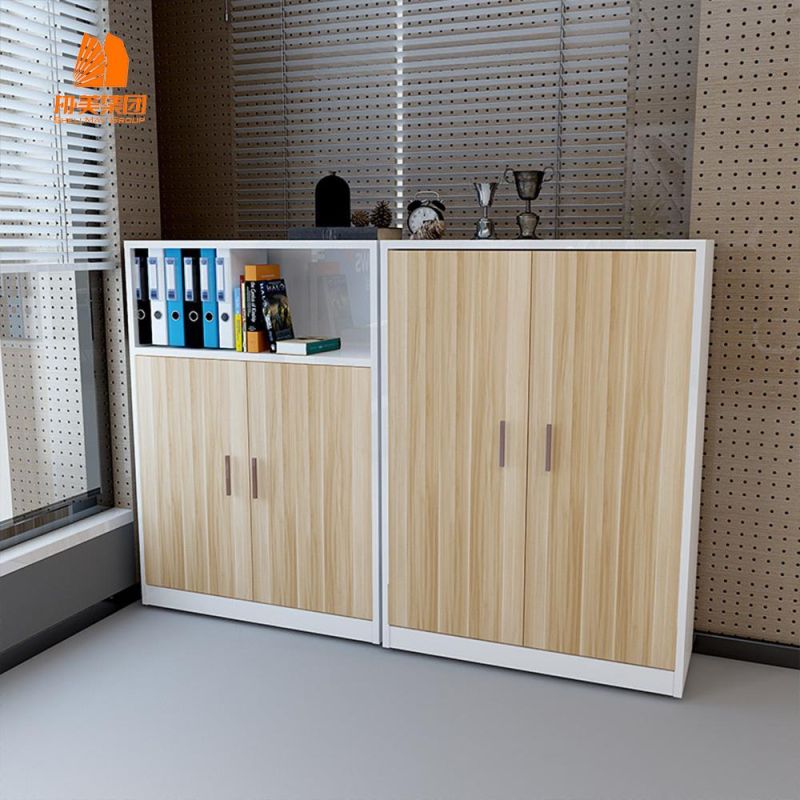 Modern Design Steel 2 Layers Office Furniture, File Cabinet