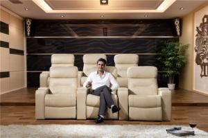 Living Room Sofa with Modern Genuine Leather Sofa Set (795)