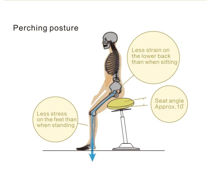 Height Adjustable Ergonomic Pneumatic Bar Wobble Standing Stool