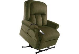 Many Colors Electric Recliner