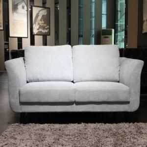 Two Seat Sofa with Fabric Upholstered for Living Room