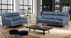Italy Leather Sofa Furniture (B-12)