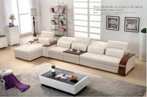 Wooden Sofa with Genuine Leather for Home Sofa