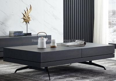 Italian Minimalism Style Home Furniture Frosted Black TV Stand