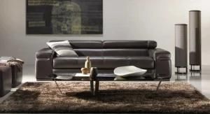 Modern Leather Sofa with Leisure Sofa for Sofa Furniture