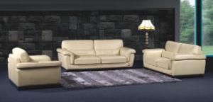 Furniture for Modern Sofa with Top Grain Leather