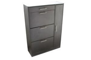 New Style Shoe Cabinet/ Wood Shoe Cabinet (XJ-6009)