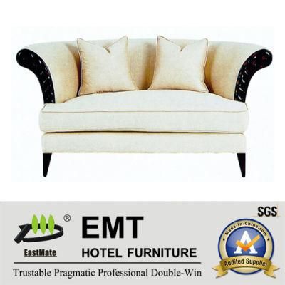 Nice Design Hotel Sofa Double Sofa Set (EMT-SF31)
