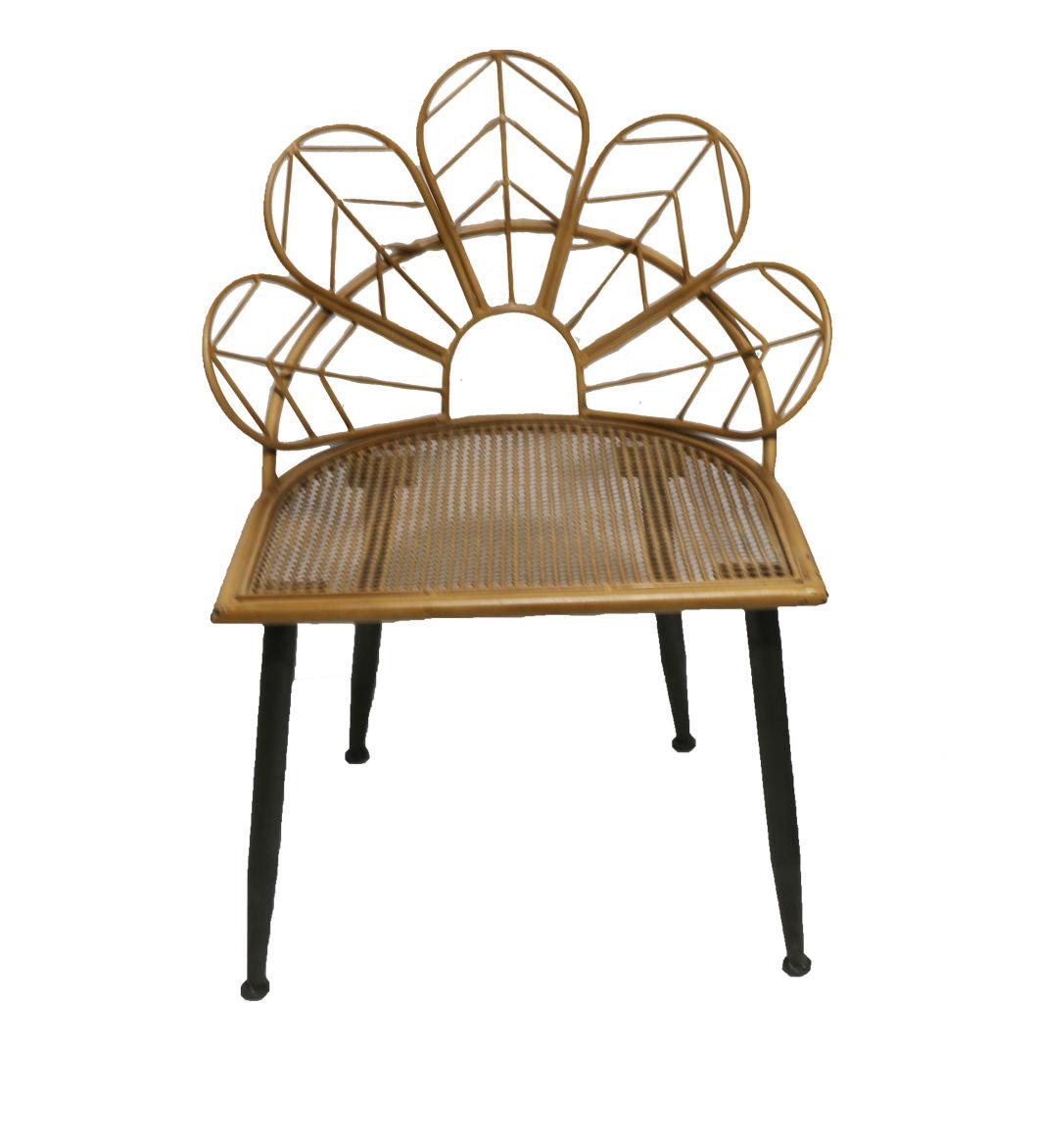 China Professional Home Furniture Supplier for Metal Rattan Home Chair